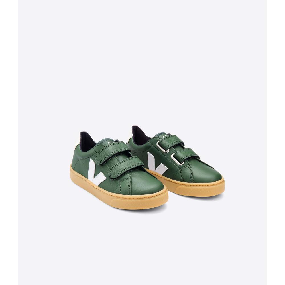 Veja ESPLAR LEATHER Kids' Shoes Green | NZ 736TCE